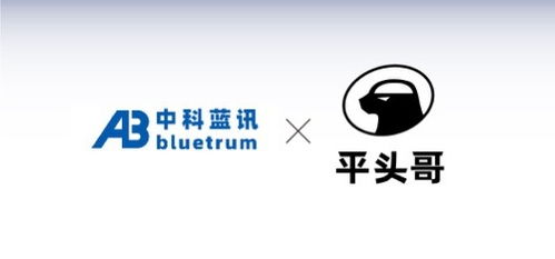 藍牙芯片廠商中科藍訊與平頭哥半導體達成合作