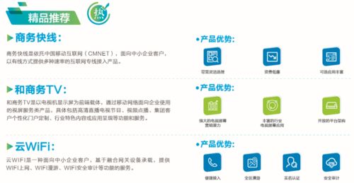 企業寬帶 致富紐帶，極速連接網絡技術服務